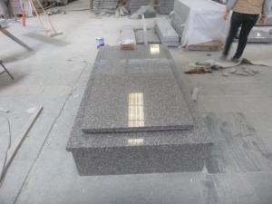 Piedra sepulcral económica del mercado francés del granito de G664 Misty Brown