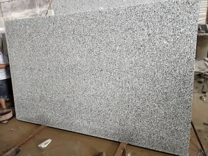 Losas grandes de cisne de granito gris para cubierta de lápida