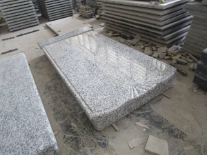 Lápida mortuaria de granito pulida G439 de Eslovaquia del estilo
