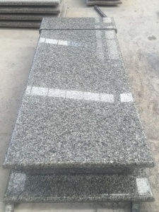 cisne gris granito polonia diseño tumba