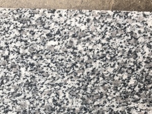losas de granito g623 gris claro de china